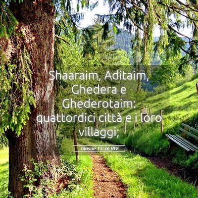 Picture 05 - Giosué 15:36 RIV - Shaaraim, Aditaim, Ghedera e Ghederotaim: - Bible Verse Picture
