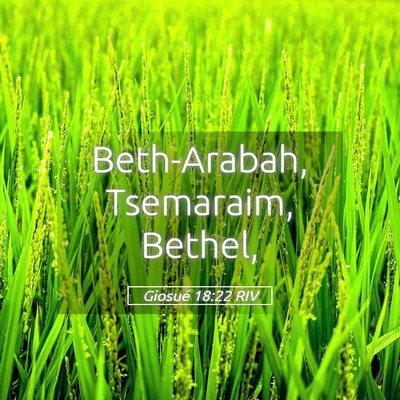 Picture 05 - Giosué 18:22 RIV - Beth-Arabah, Tsemaraim, - Bible Verse Picture