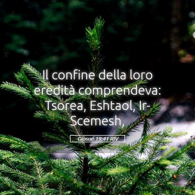 Picture 05 - Giosué 19:41 RIV - Il confine della loro eredità comprendeva: - Bible Verse Picture