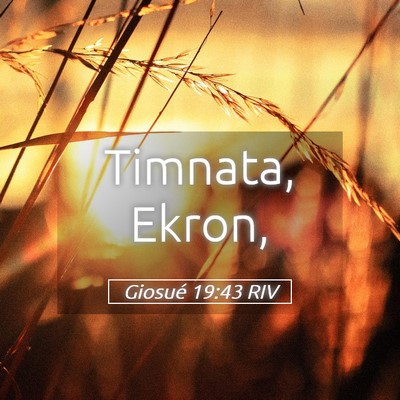 Picture 05 - Giosué 19:43 RIV - Timnata, - Bible Verse Picture