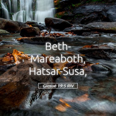 Picture 05 - Giosué 19:5 RIV - Beth-Mareaboth, - Bible Verse Picture
