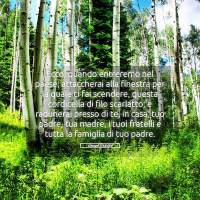 Picture 05 - Giosué 2:18 RIV - Ecco, quando entreremo nel paese, attaccherai - Bible Verse Picture