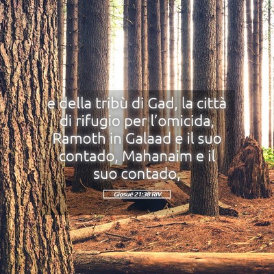 Picture 05 - Giosué 21:38 RIV - e della tribù di Gad, la città di rifugio per - Bible Verse Picture