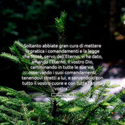 Picture 05 - Giosué 22:5 RIV - Soltanto abbiate gran cura di mettere in pratica - Bible Verse Picture
