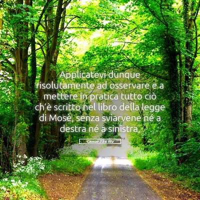 Picture 05 - Giosué 23:6 RIV - Applicatevi dunque risolutamente ad osservare e a - Bible Verse Picture