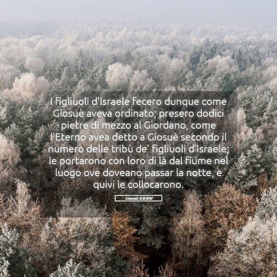 Picture 05 - Giosué 4:8 RIV - I figliuoli d’Israele fecero dunque come - Bible Verse Picture