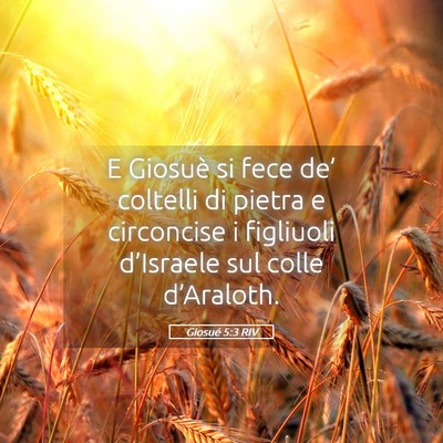 Picture 05 - Giosué 5:3 RIV - E Giosuè si fece de’ coltelli di pietra e - Bible Verse Picture