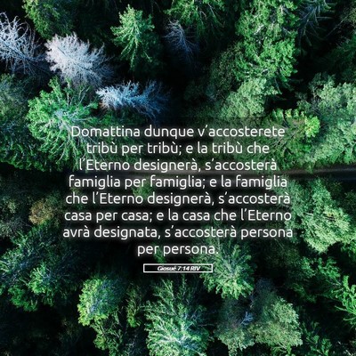 Picture 05 - Giosué 7:14 RIV - Domattina dunque v’accosterete tribù per - Bible Verse Picture