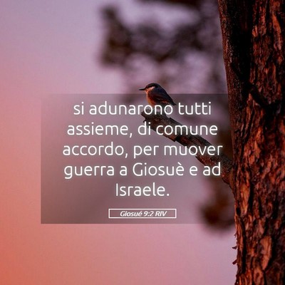 Picture 05 - Giosué 9:2 RIV - si adunarono tutti assieme, di comune accordo, - Bible Verse Picture