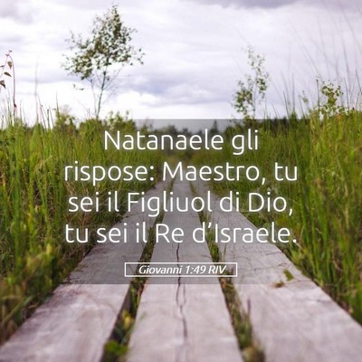 Picture 05 - Giovanni 1:49 RIV - Natanaele gli rispose: Maestro, tu sei il - Bible Verse Picture