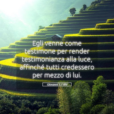 Picture 05 - Giovanni 1:7 RIV - Egli venne come testimone per render - Bible Verse Picture