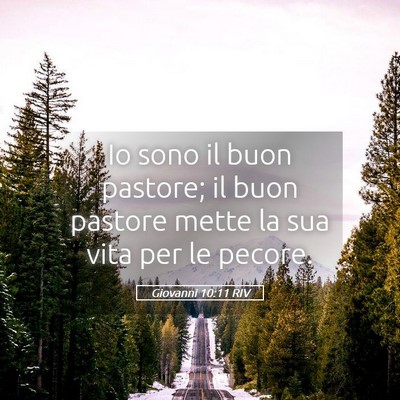 Picture 05 - Giovanni 10:11 RIV - Io sono il buon pastore; il buon pastore mette la - Bible Verse Picture