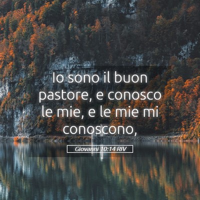 Picture 05 - Giovanni 10:14 RIV - Io sono il buon pastore, e conosco le mie, e le - Bible Verse Picture
