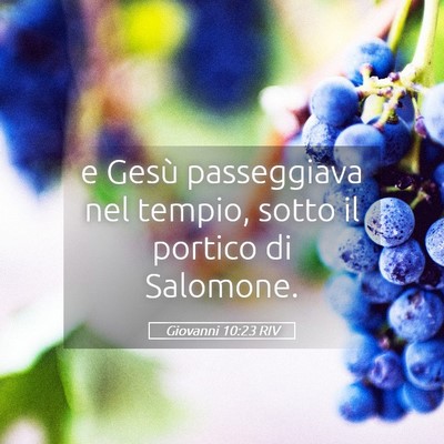 Picture 05 - Giovanni 10:23 RIV - e Gesù passeggiava nel tempio, sotto il portico - Bible Verse Picture