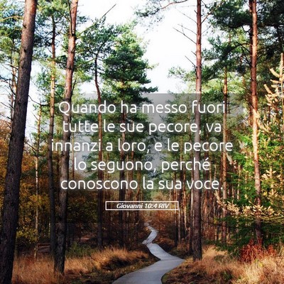 Picture 05 - Giovanni 10:4 RIV - Quando ha messo fuori tutte le sue pecore, va - Bible Verse Picture