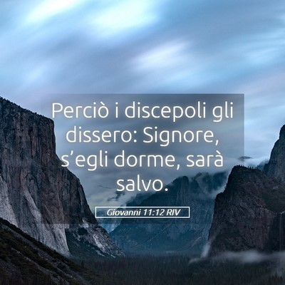 Picture 05 - Giovanni 11:12 RIV - Perciò i discepoli gli dissero: Signore, - Bible Verse Picture