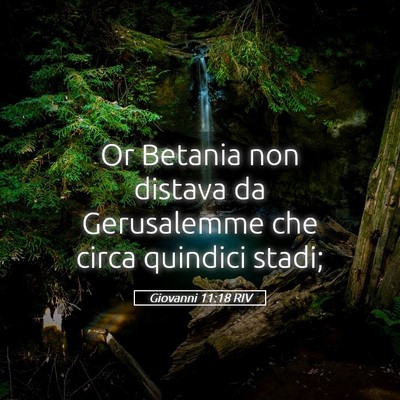 Picture 05 - Giovanni 11:18 RIV - Or Betania non distava da Gerusalemme che circa - Bible Verse Picture