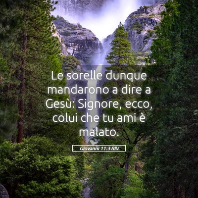 Picture 05 - Giovanni 11:3 RIV - Le sorelle dunque mandarono a dire a Gesù: - Bible Verse Picture