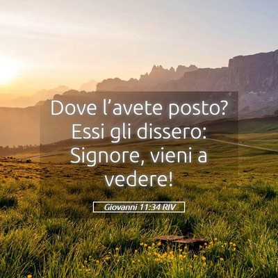 Picture 05 - Giovanni 11:34 RIV - Dove l’avete posto? Essi gli dissero: Signore, - Bible Verse Picture