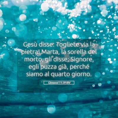 Picture 05 - Giovanni 11:39 RIV - Gesù disse: Togliete via la pietra! Marta, la - Bible Verse Picture