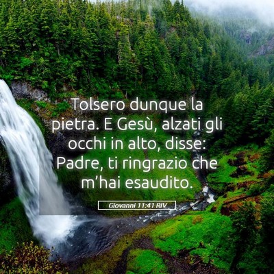 Picture 05 - Giovanni 11:41 RIV - Tolsero dunque la pietra. E Gesù, alzati gli - Bible Verse Picture
