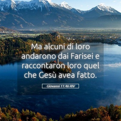 Picture 05 - Giovanni 11:46 RIV - Ma alcuni di loro andarono dai Farisei e - Bible Verse Picture