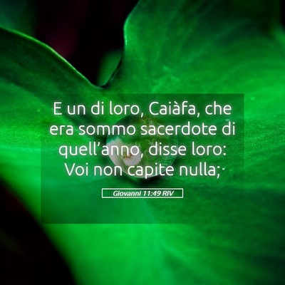 Picture 05 - Giovanni 11:49 RIV - E un di loro, Caiàfa, che era sommo sacerdote di - Bible Verse Picture