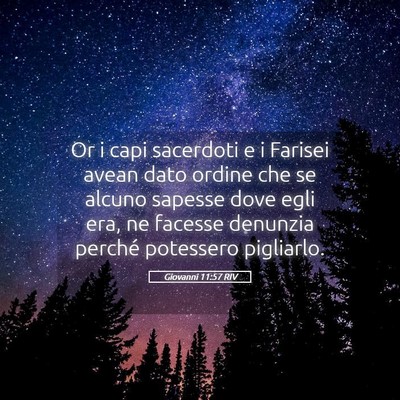 Picture 05 - Giovanni 11:57 RIV - Or i capi sacerdoti e i Farisei avean dato ordine - Bible Verse Picture