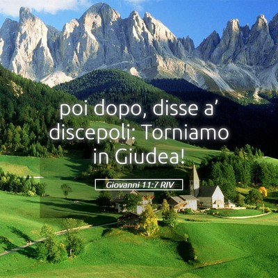 Picture 05 - Giovanni 11:7 RIV - poi dopo, disse a’ discepoli: Torniamo in - Bible Verse Picture