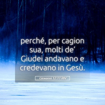Picture 05 - Giovanni 12:11 RIV - perché, per cagion sua, molti de’ Giudei - Bible Verse Picture