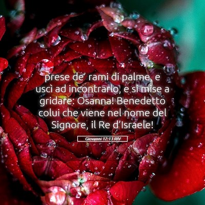 Picture 05 - Giovanni 12:13 RIV - prese de’ rami di palme, e uscì ad - Bible Verse Picture