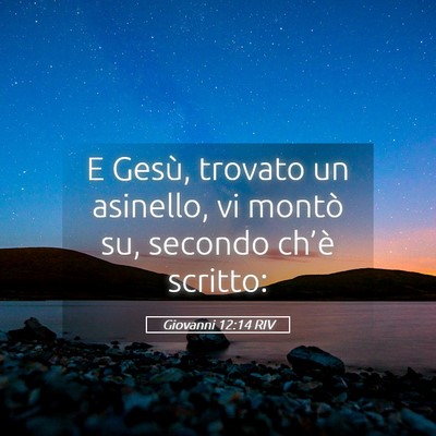 Picture 05 - Giovanni 12:14 RIV - E Gesù, trovato un asinello, vi montò su, - Bible Verse Picture