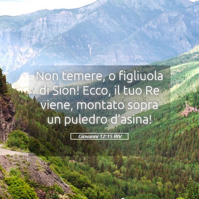 Picture 05 - Giovanni 12:15 RIV - Non temere, o figliuola di Sion! Ecco, il tuo Re - Bible Verse Picture