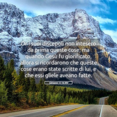 Picture 05 - Giovanni 12:16 RIV - Or i suoi discepoli non intesero da prima queste - Bible Verse Picture