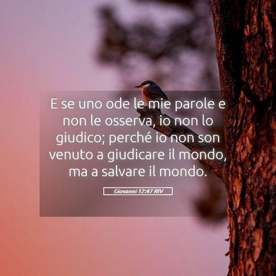 Picture 05 - Giovanni 12:47 RIV - E se uno ode le mie parole e non le osserva, io - Bible Verse Picture