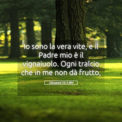 Picture 05 - Giovanni 15:1 RIV - Io sono la vera vite, e il Padre mio è il - Bible Verse Picture