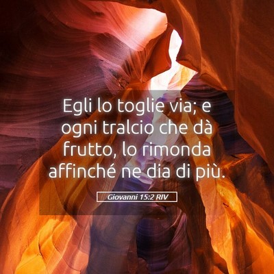 Picture 05 - Giovanni 15:2 RIV - Egli lo toglie via; e ogni tralcio che dà - Bible Verse Picture