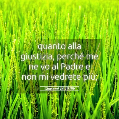 Picture 05 - Giovanni 16:10 RIV - quanto alla giustizia, perché me ne vo al Padre - Bible Verse Picture