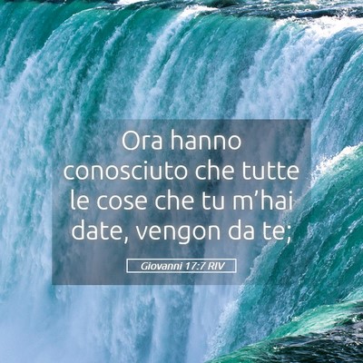 Picture 05 - Giovanni 17:7 RIV - Ora hanno conosciuto che tutte le cose che tu - Bible Verse Picture