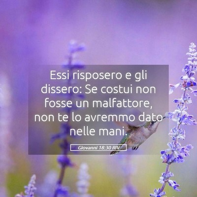 Picture 05 - Giovanni 18:30 RIV - Essi risposero e gli dissero: Se costui non fosse - Bible Verse Picture