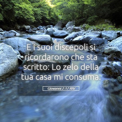 Picture 05 - Giovanni 2:17 RIV - E i suoi discepoli si ricordarono che sta - Bible Verse Picture