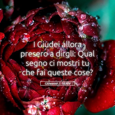 Picture 05 - Giovanni 2:18 RIV - I Giudei allora presero a dirgli: Qual segno ci - Bible Verse Picture