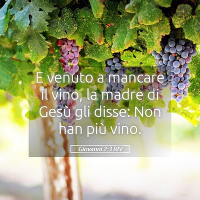 Picture 05 - Giovanni 2:3 RIV - E venuto a mancare il vino, la madre di Gesù gli - Bible Verse Picture