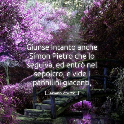 Picture 05 - Giovanni 20:6 RIV - Giunse intanto anche Simon Pietro che lo seguiva, - Bible Verse Picture