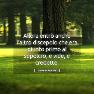 Picture 05 - Giovanni 20:8 RIV - Allora entrò anche l’altro discepolo che era - Bible Verse Picture