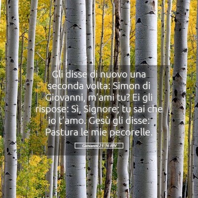 Picture 05 - Giovanni 21:16 RIV - Gli disse di nuovo una seconda volta: Simon di - Bible Verse Picture