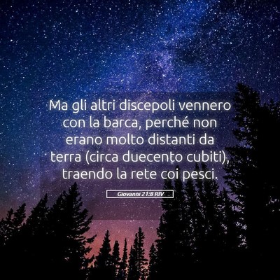 Picture 05 - Giovanni 21:8 RIV - Ma gli altri discepoli vennero con la barca, - Bible Verse Picture