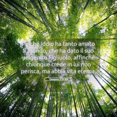 Picture 05 - Giovanni 3:16 RIV - Poiché Iddio ha tanto amato il mondo, che ha - Bible Verse Picture