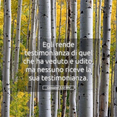 Picture 05 - Giovanni 3:32 RIV - Egli rende testimonianza di quel che ha veduto e - Bible Verse Picture