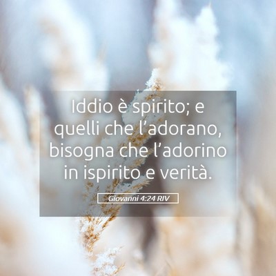 Picture 05 - Giovanni 4:24 RIV - Iddio è spirito; e quelli che l’adorano, - Bible Verse Picture